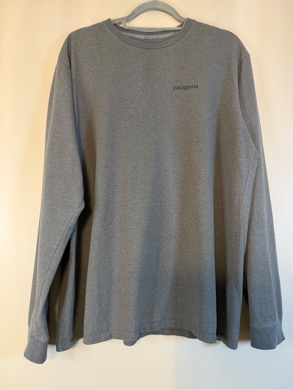 Patagonia Men's Long Sleeve Crew Neck Shirt - Gray